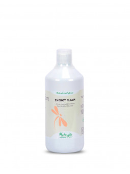 Energy Flash - Booster Liquide