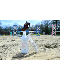 Energy Flash - Booster Liquide