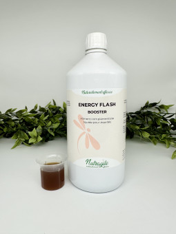 Energy Flash - Booster Liquide