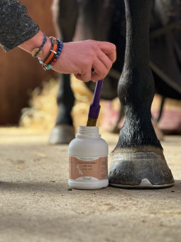 Huile pour sabot Forti Pied