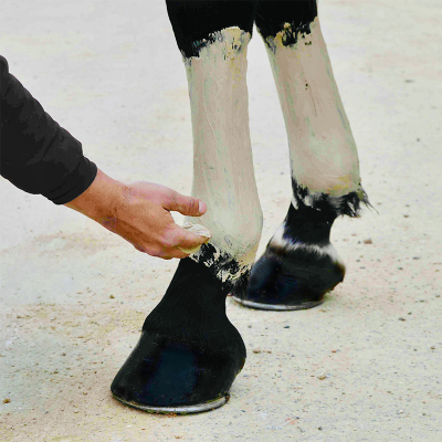 Pâte d'argile Hydra Marine