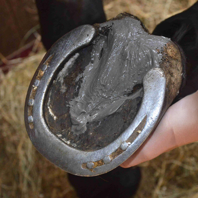 Soin des Fourchettes