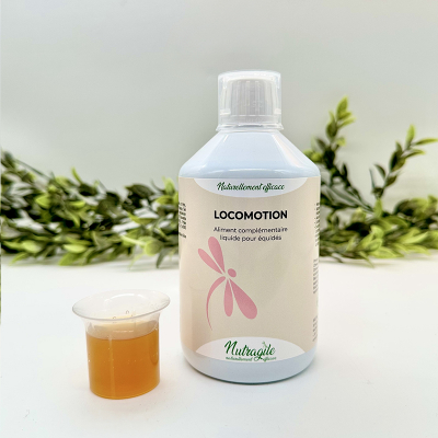 Locomotion  Liquide