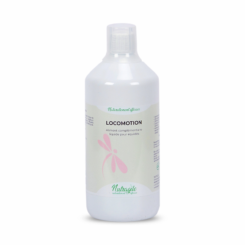 Locomotion  Liquide