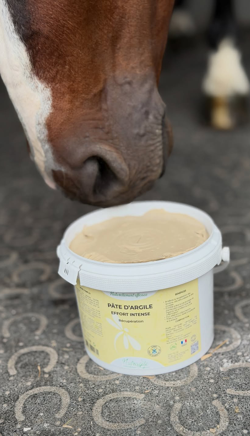 Soins naturels pour animaux